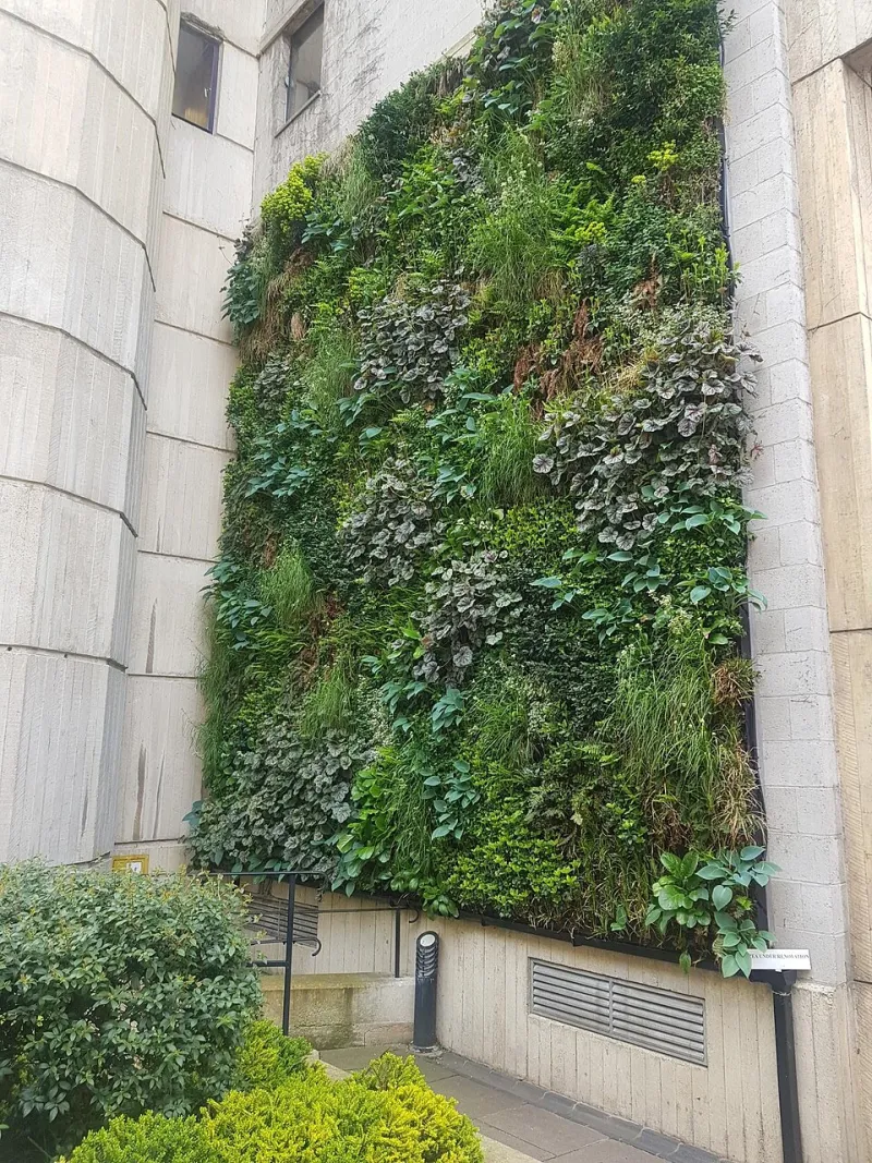 Planted for the Long Game: How Scotland's Developers Are Building Living Walls That Outlast the Weather